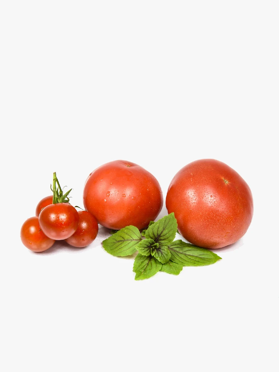 Pomodori